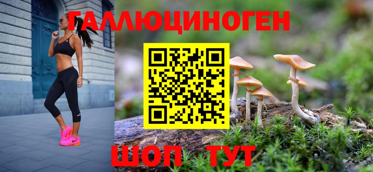 Псилоцибиновые грибы мухоморы  как найти закладки  Щёкино  Галлюциногенные грибы Cubensis  Вход с VPN 