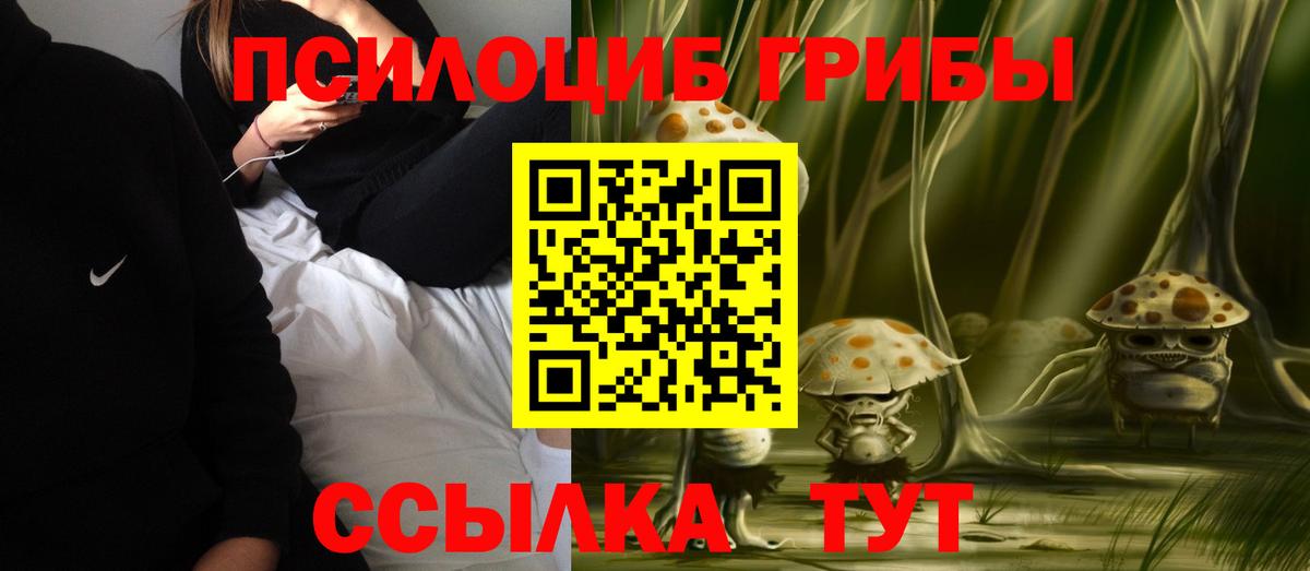 Галлюциногенные грибы MAGIC MUSHROOMS Щёкино